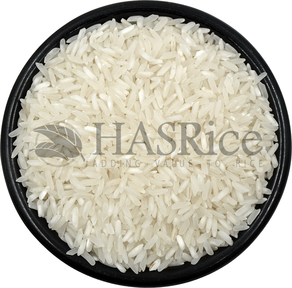 IRRI-6 Rice