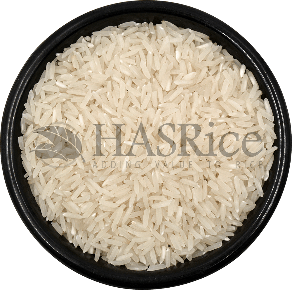 IRRI-9 Rice